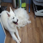 20161124_145444.jpg