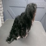IMG-20181119-WA0008.jpg