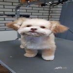 20190815_144224.jpg