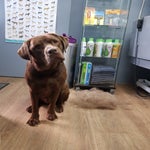 20180811_112417-1.jpg
