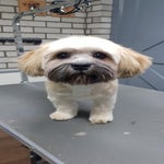 20190619_1101480.jpg