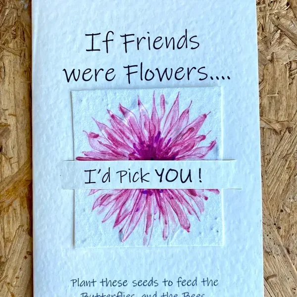 Friendship - If friends were flowers - 073