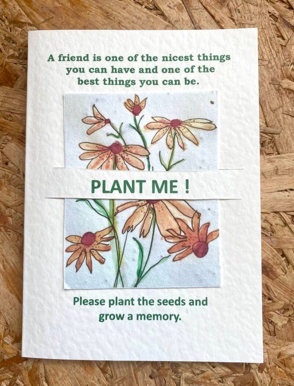 Friendship - Nicest thing to be - 04