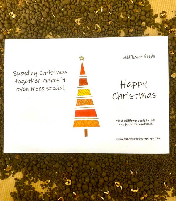Wildflower Seed Envelope - Christmas with you CH2501