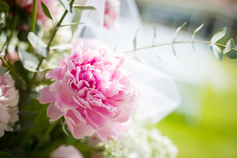 Trouwfotograaf Bruidsfotografie trouwfotografie Friesland fotograaf bruiloft Kleurrijk trouwen foto