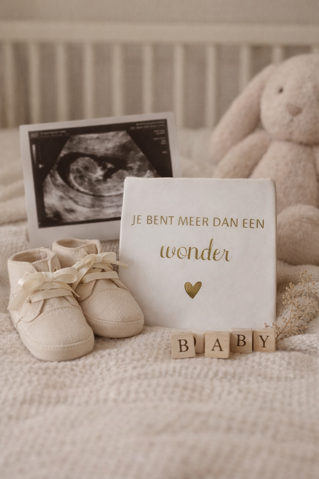 Tegeltje – Zwangerschapsaankondiging “Je bent meer dan een wonder”