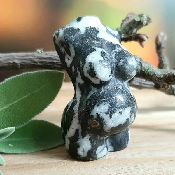 Zwangere body zebra jaspis 2