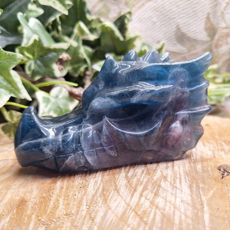 Fluoriet draak met blauw