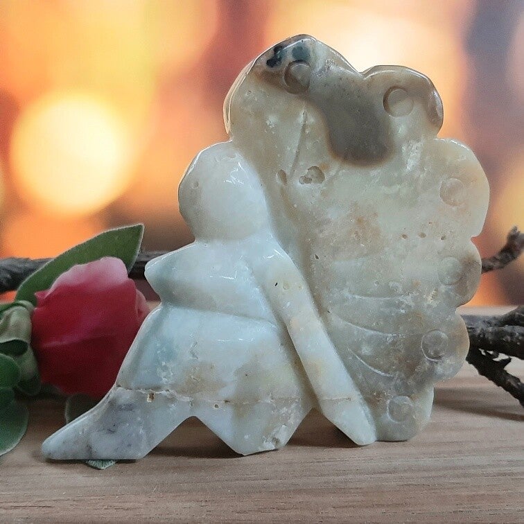 caribbean calciet fairy L 2