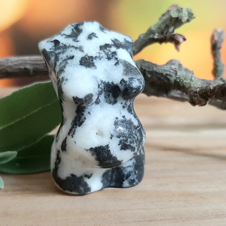 Zwangere body zebra jaspis 1