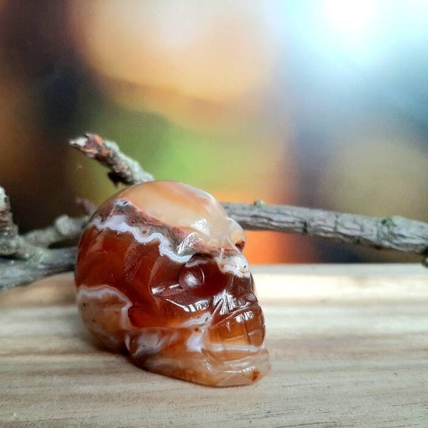 rode bandagaat skull M 2