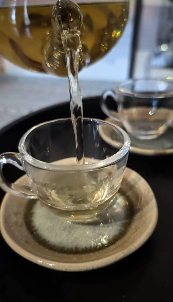 Catnip Tea Experience