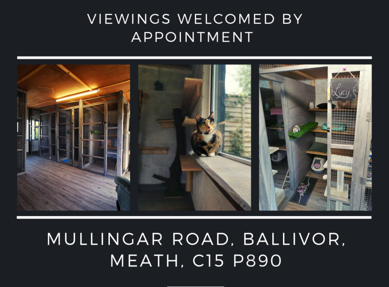 Book Now, Cattery Meath, Cattery Dublin, Cattery Kildare, Cattery Westmeath 