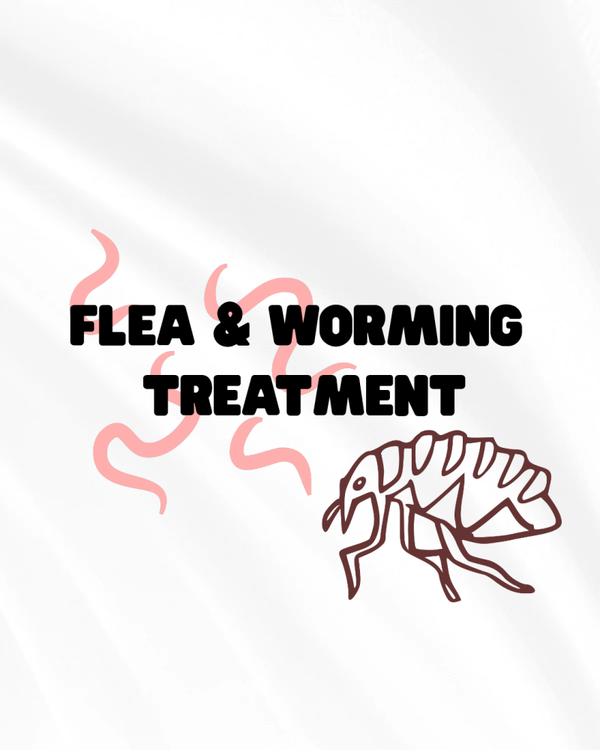 Flea & Worming Treatment