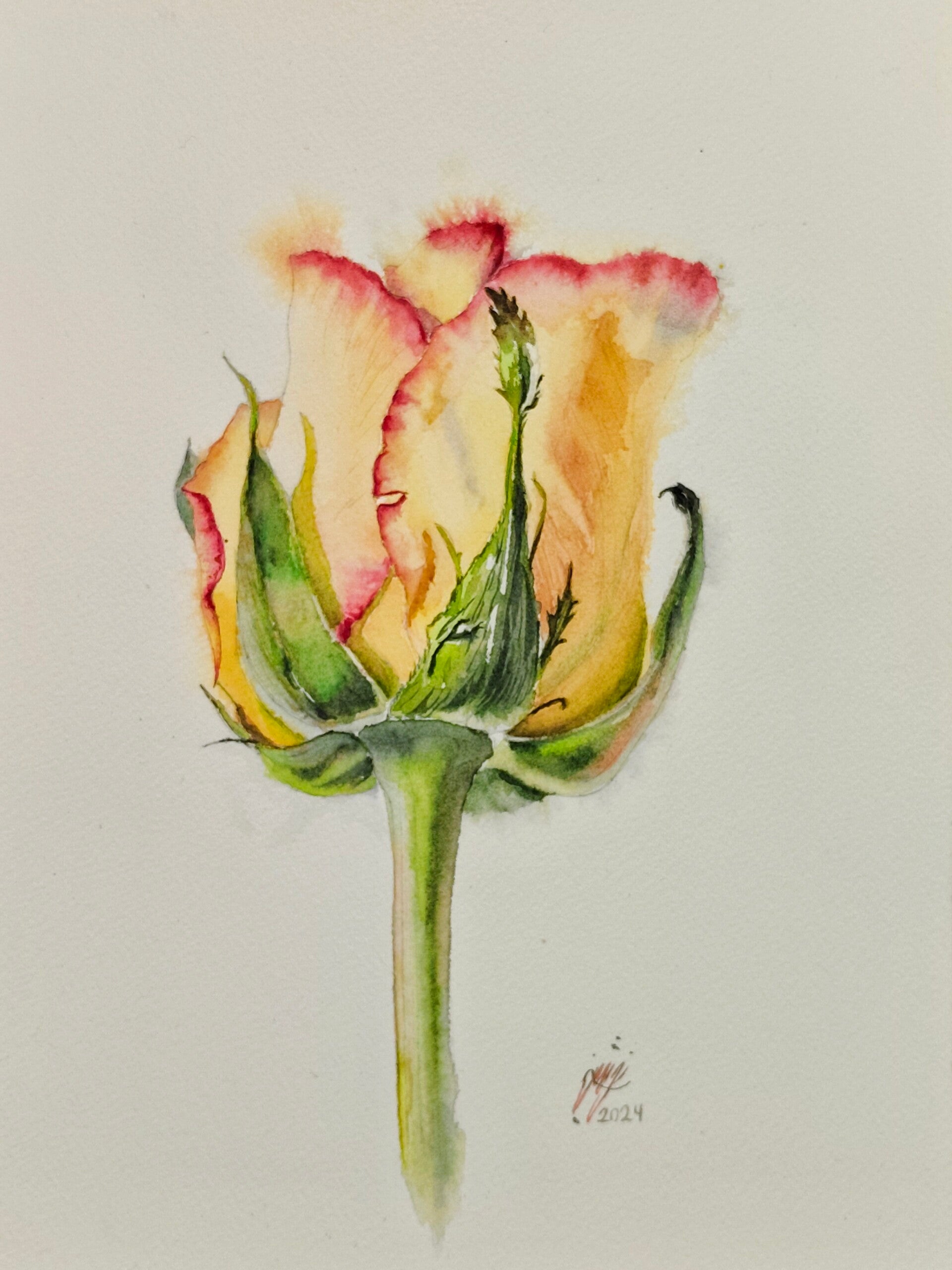 Aquarellmalerei – Licht، Farbe und Transparenz