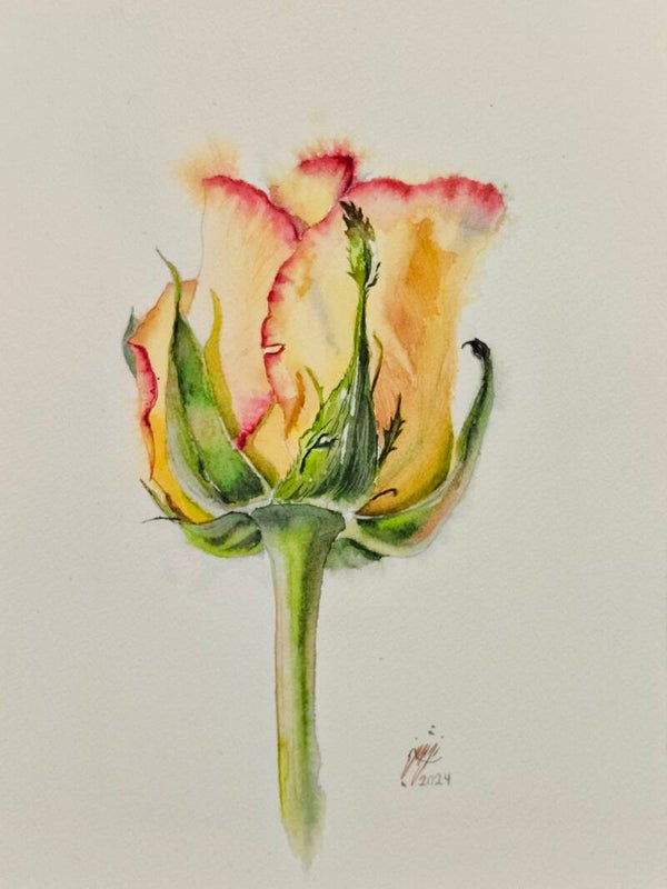 Aquarellmalerei – Licht، Farbe und Transparenz
