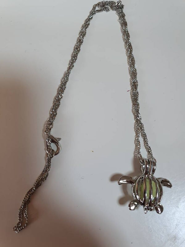 Ketting met schildpad