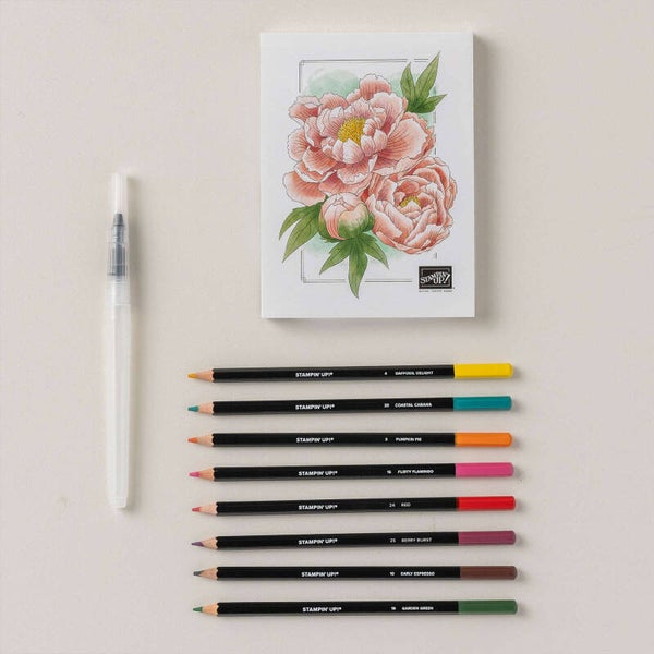 21-02-2025 watercolor