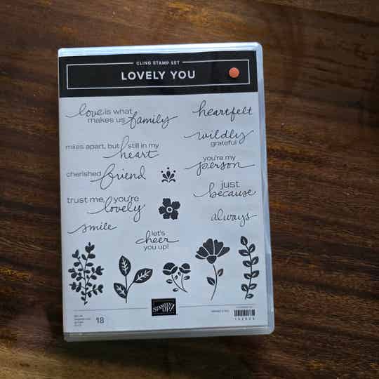 Lovely you clingstempelset