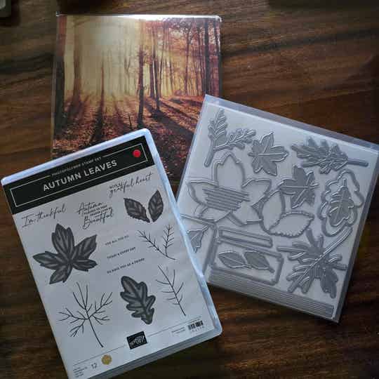 Autumn leaves bundel