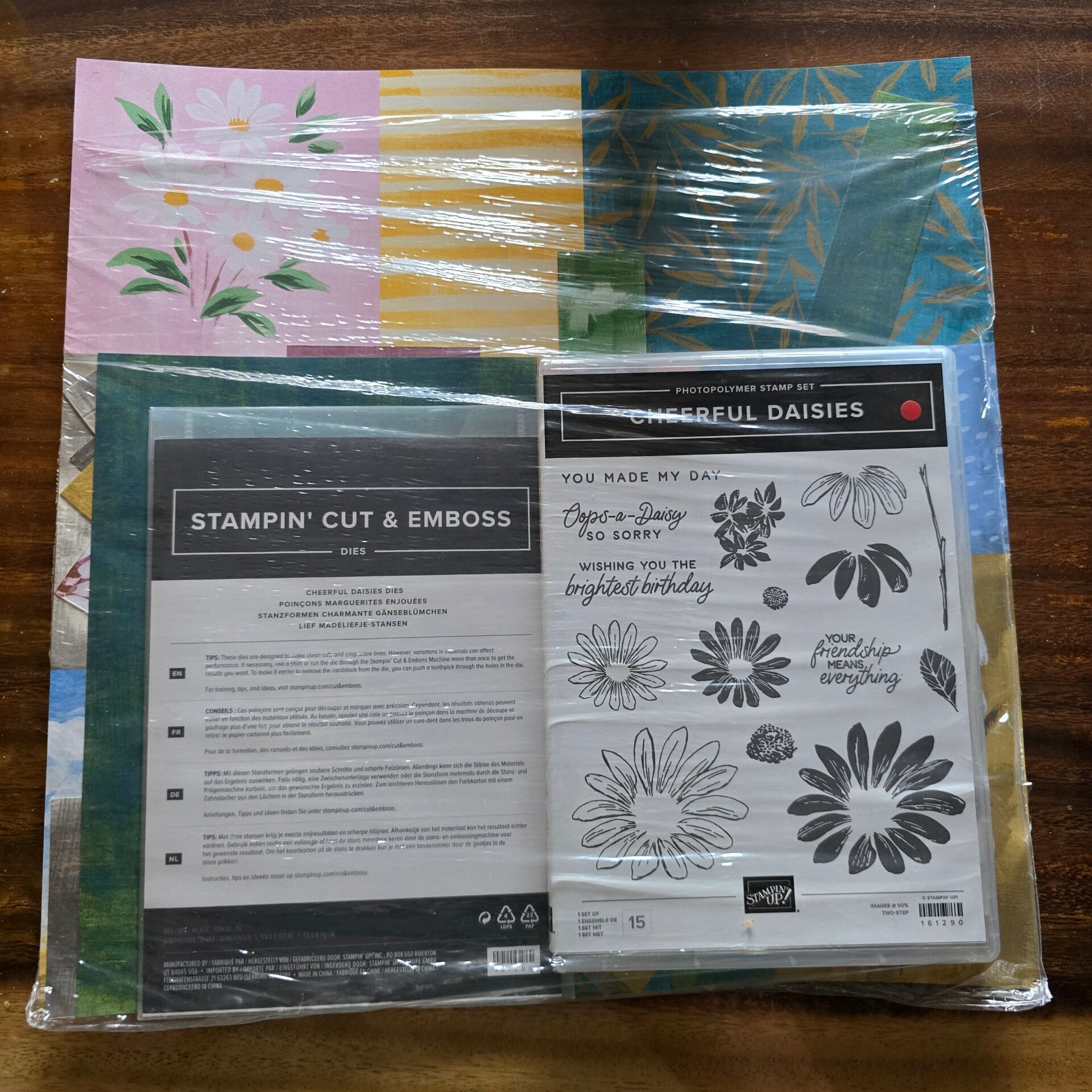 Cheerful daisies bundel