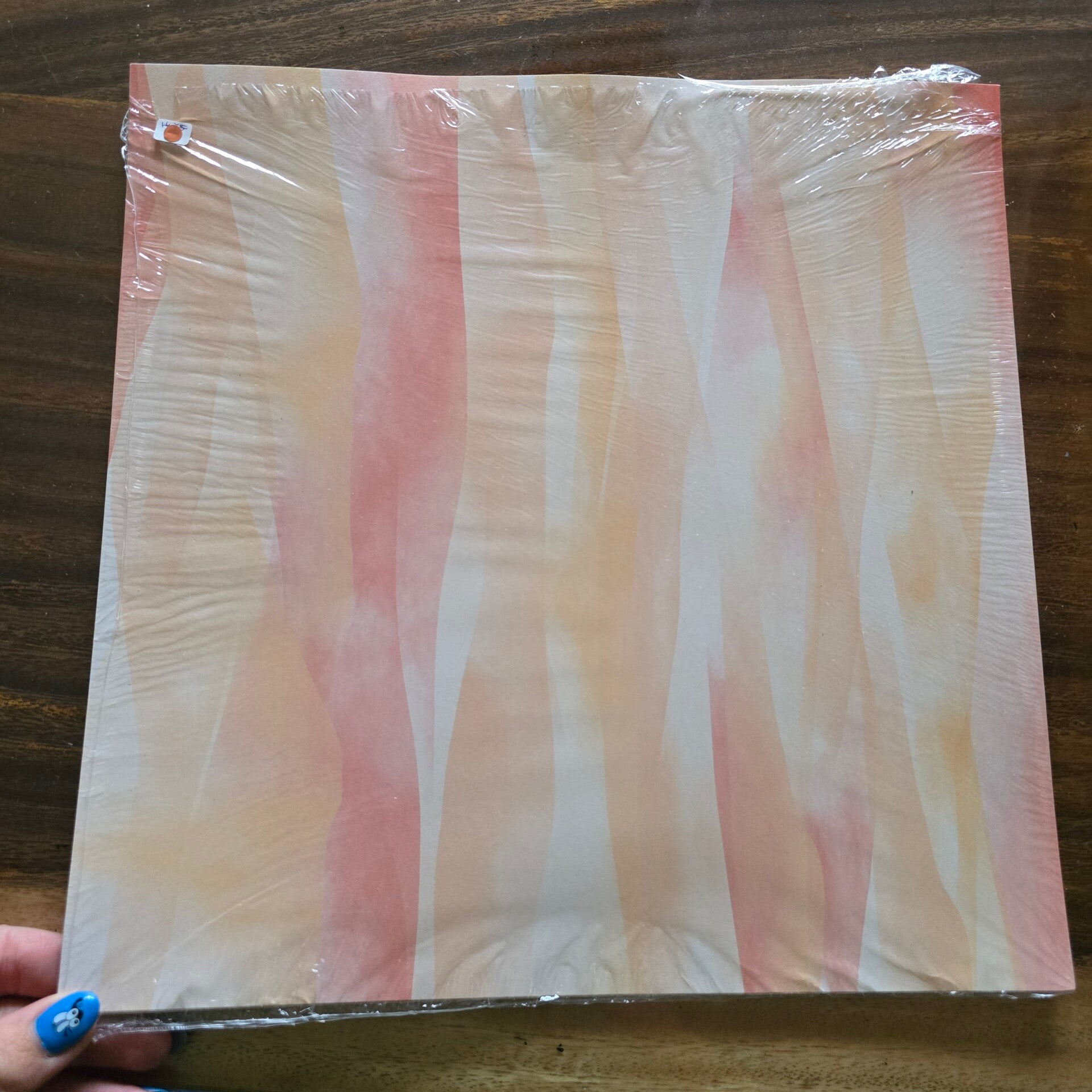 DSP Delicate desert 12x12