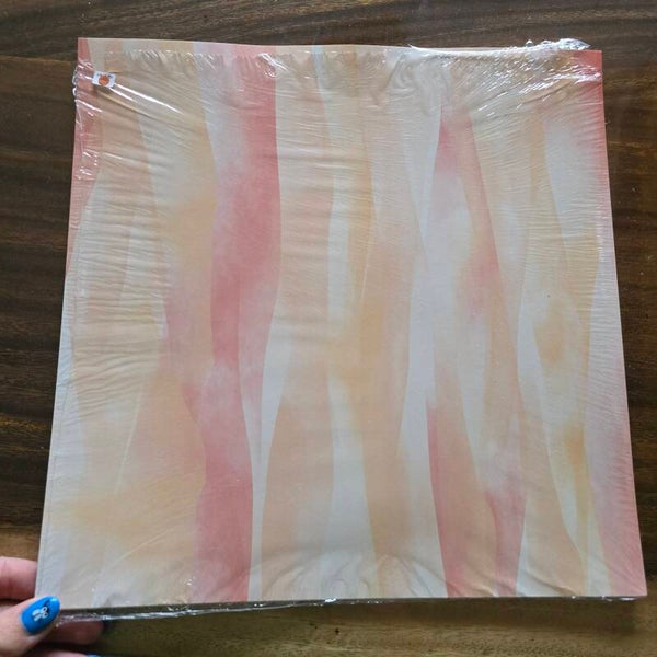 DSP Delicate desert 12x12