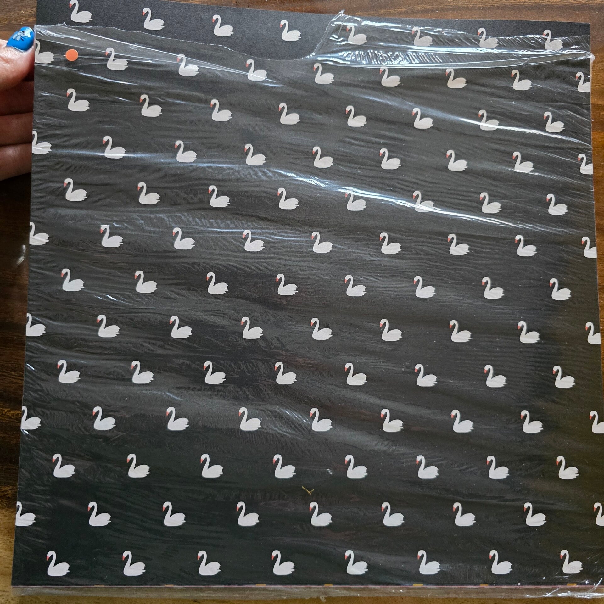 DSP Delightfully eclectic 12x12