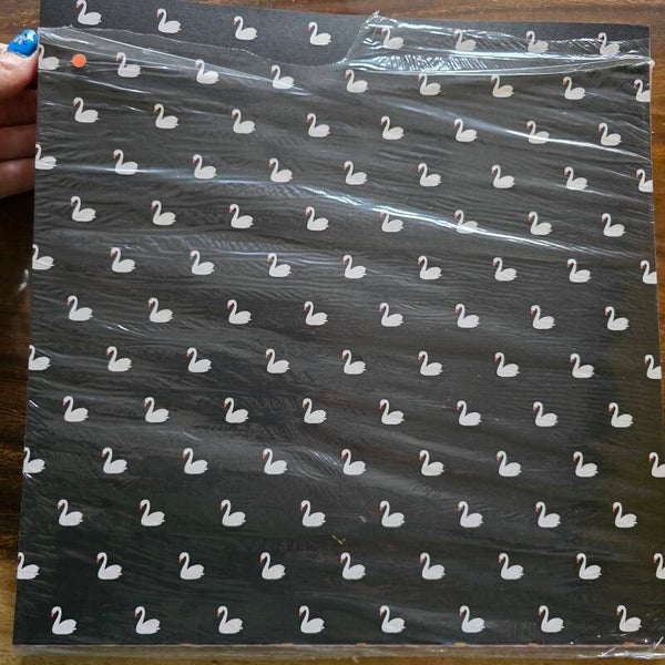 DSP Delightfully eclectic 12x12