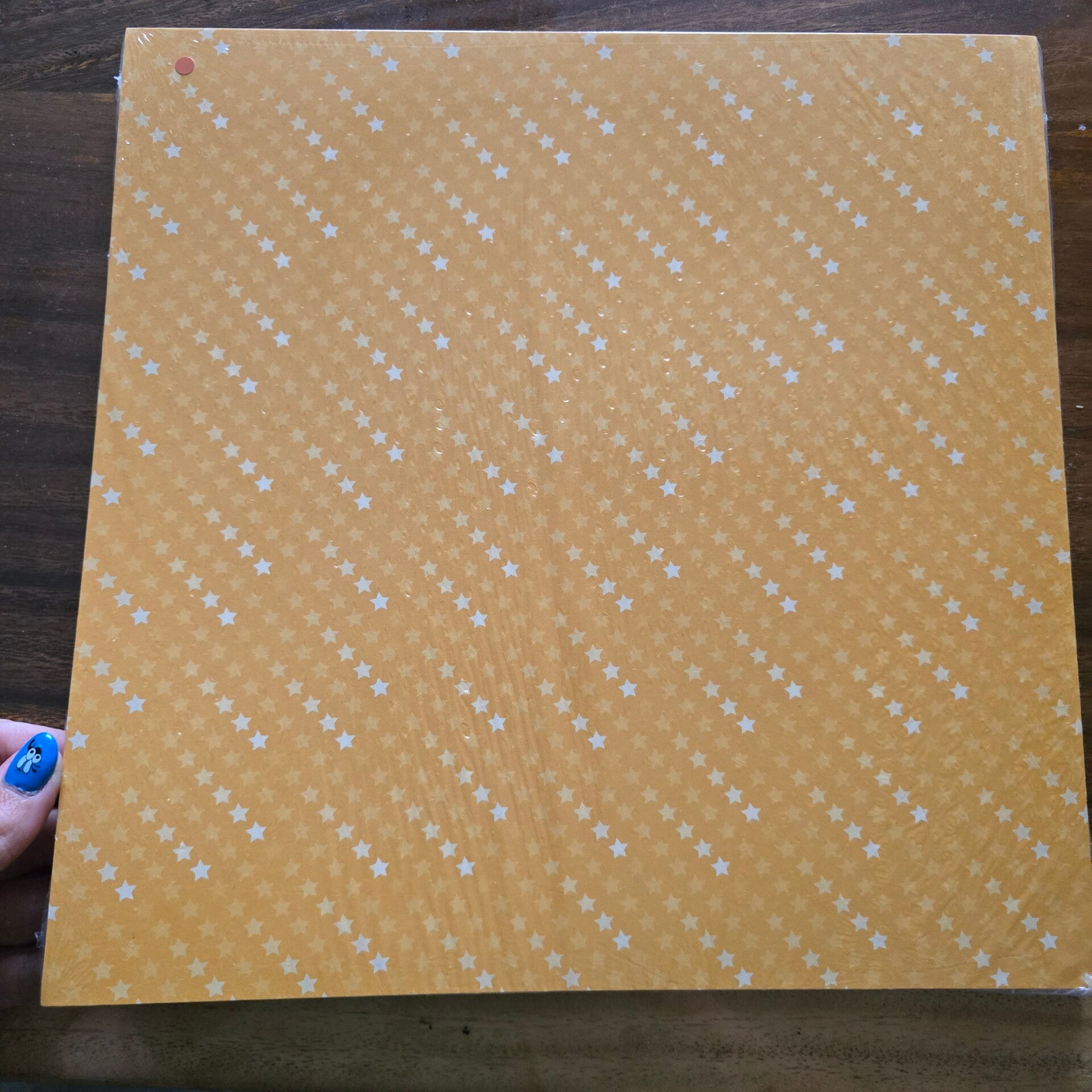 DSP Dandy designs 12x12 nieuw