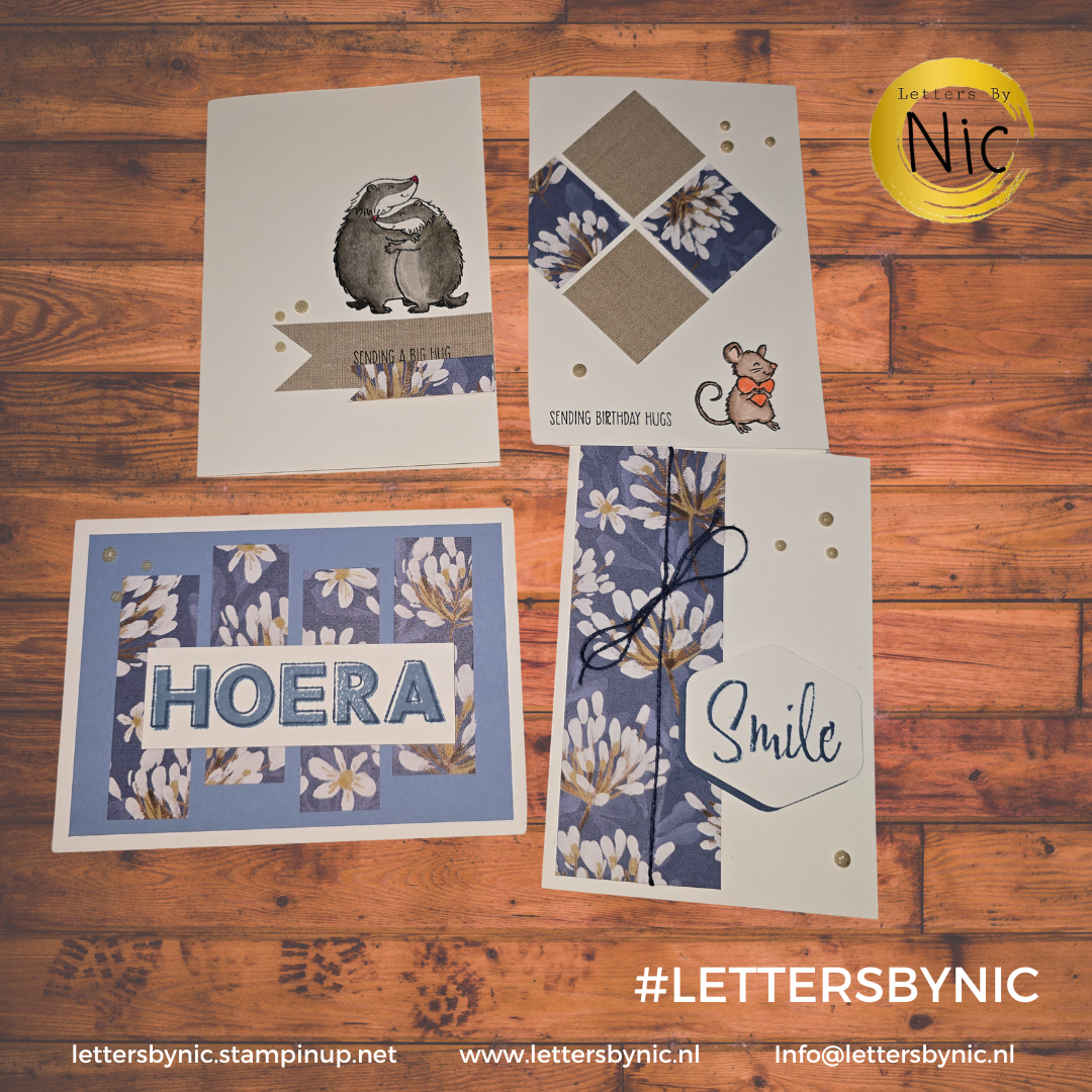 24-01-2025 One Sheet Wonder