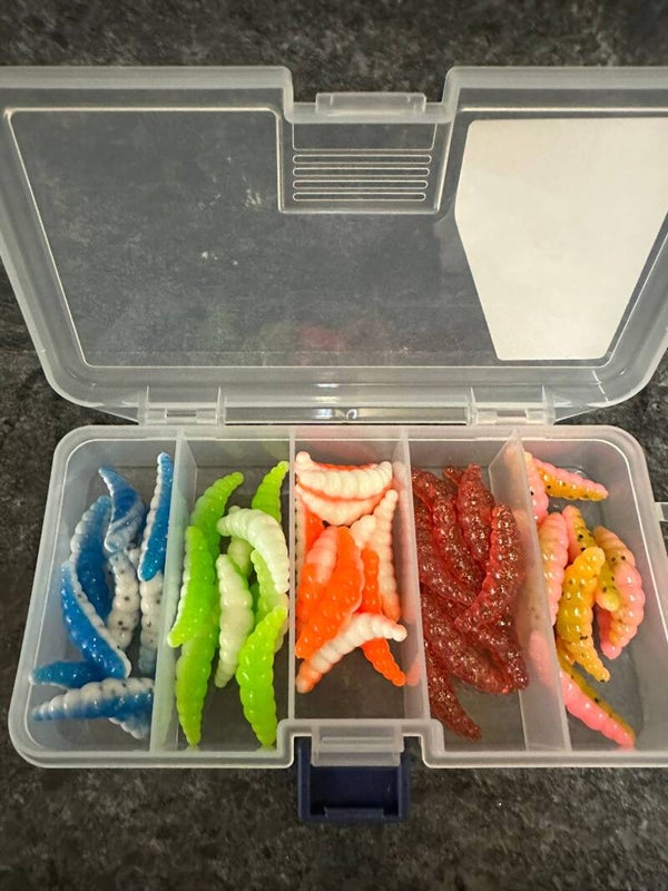 **Limitiert** Forellenbox 5