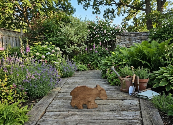 Bear cub - small