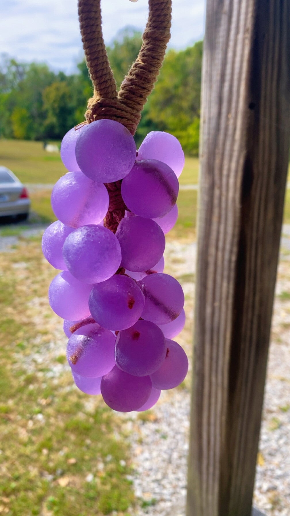 Purple Grapes Soap