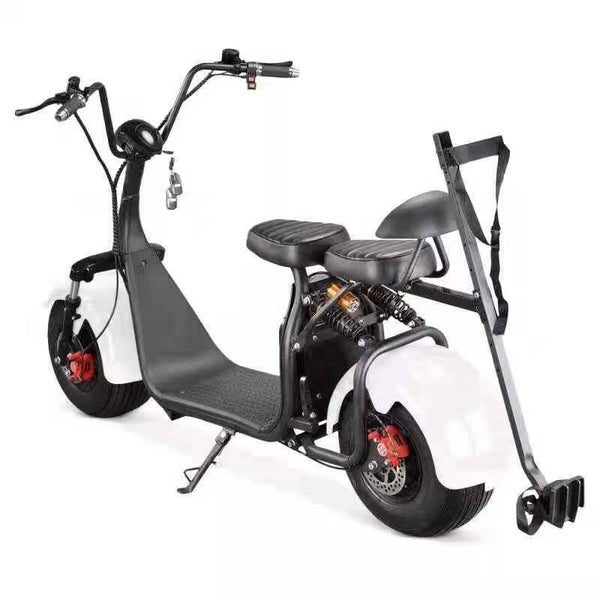 GT-ES elektrische golf scooter