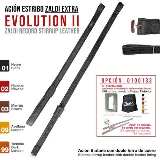 ACIÓN ESTRIBO EXTRA EVOLUTION II