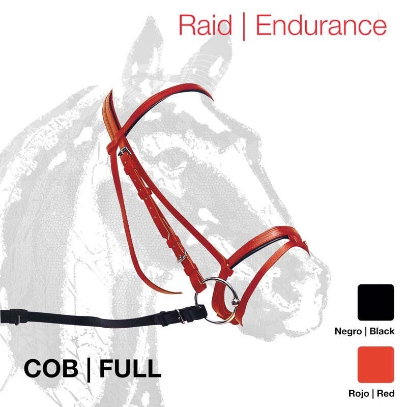 CABEZADA MONTAR RAID BIOTANE LR498222