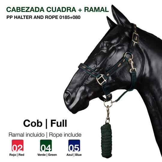 CABEZADA CUADRA + RAMAL PP