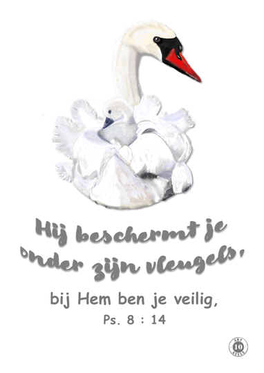 Poster ZWAAN