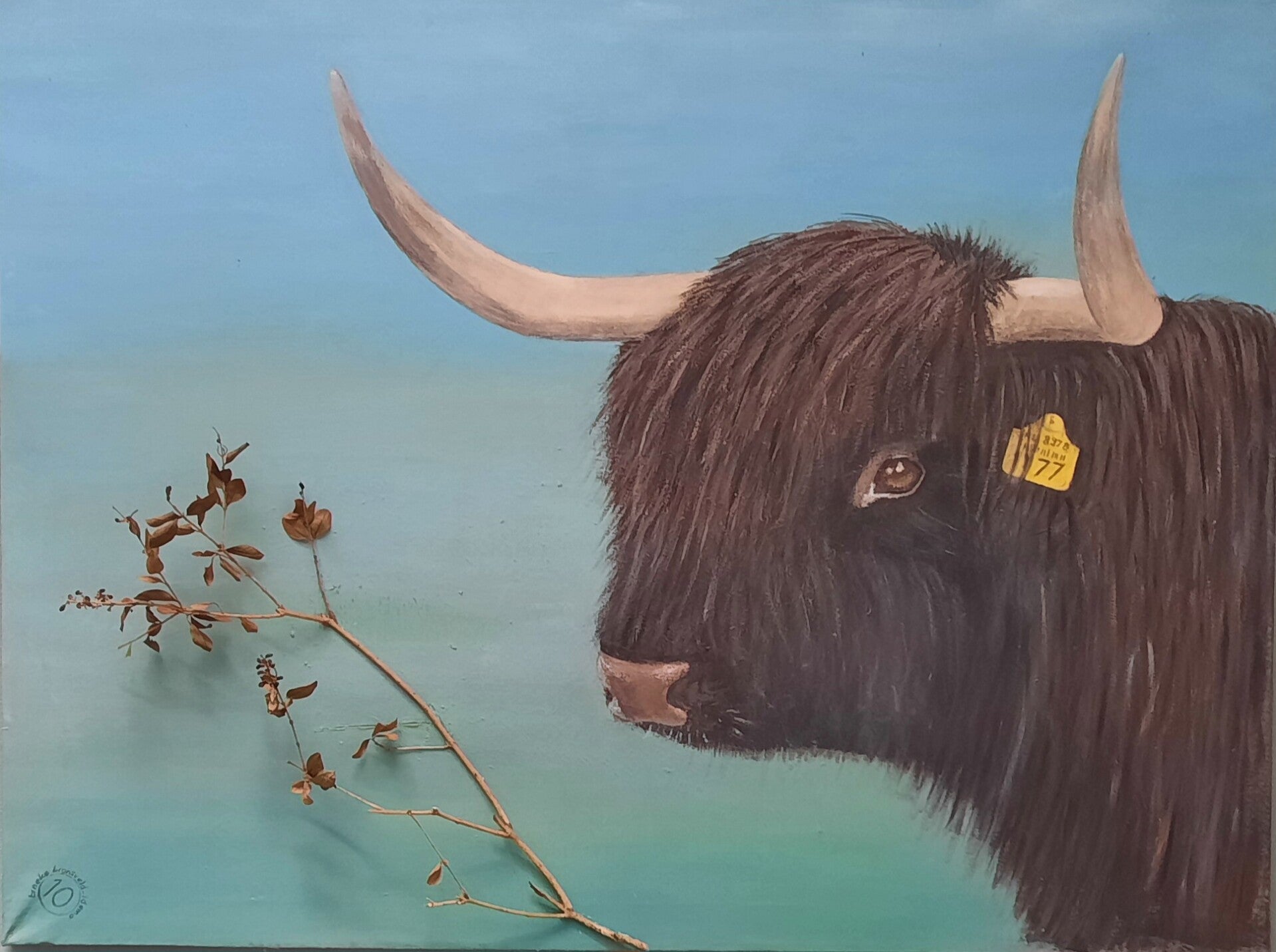 SCHOTSE HOOGLANDER met echte tak