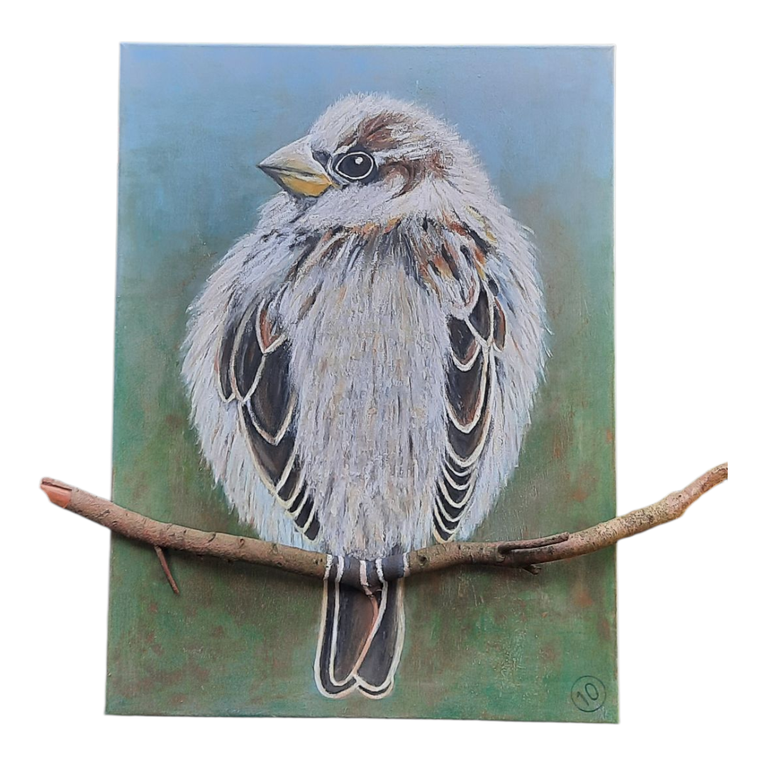 BABYMUSJE met echte tak