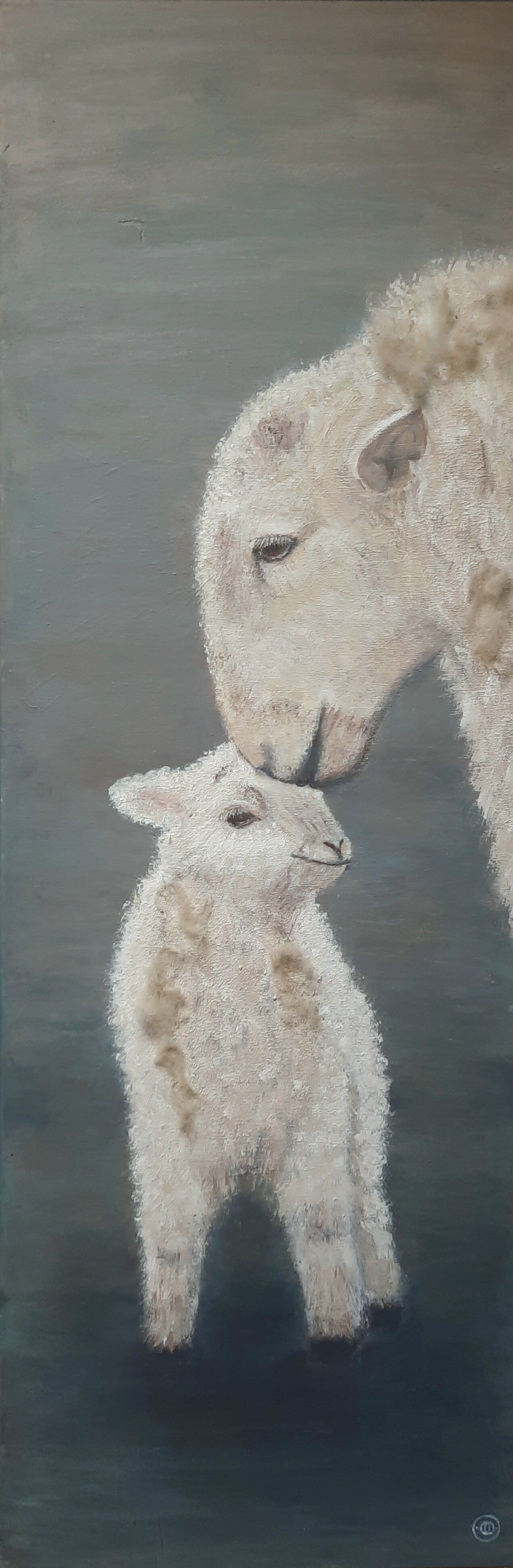 SCHAAPJES met echte WOL!