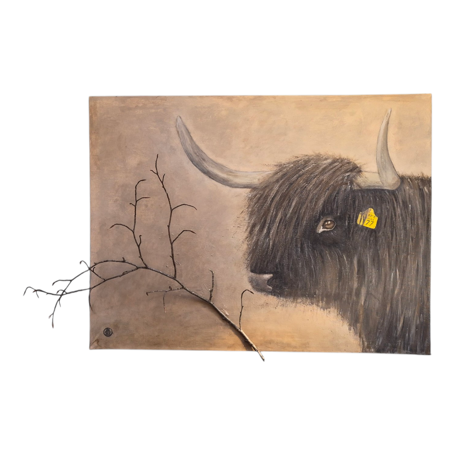 SCHOTSE HOOGLANDER met echte tak