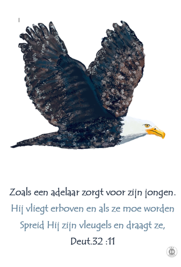 Poster ADELAAR