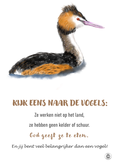 Poster FUUT