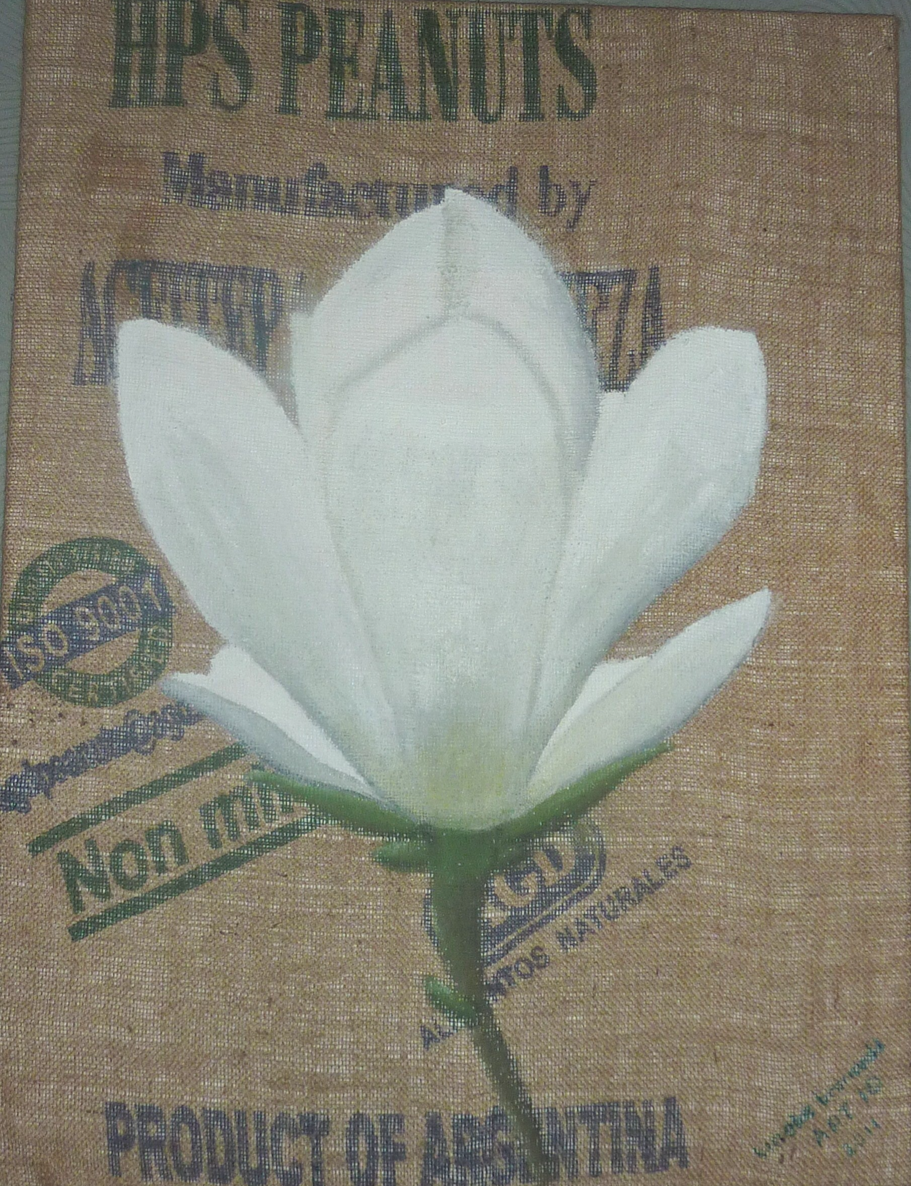 MAGNOLIA op JUTE