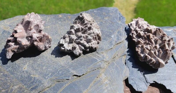 Ruw cluster Dogtooth Calciet 6-10 cm Dogtooth Calcit, Calcite