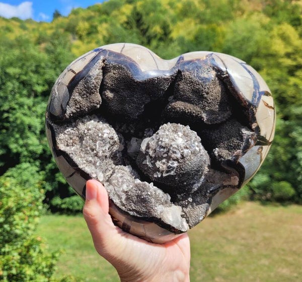 Enorm Hart Septarie 4 kg. 22 cm Gross Herz Septarien, Big Heart Septarian