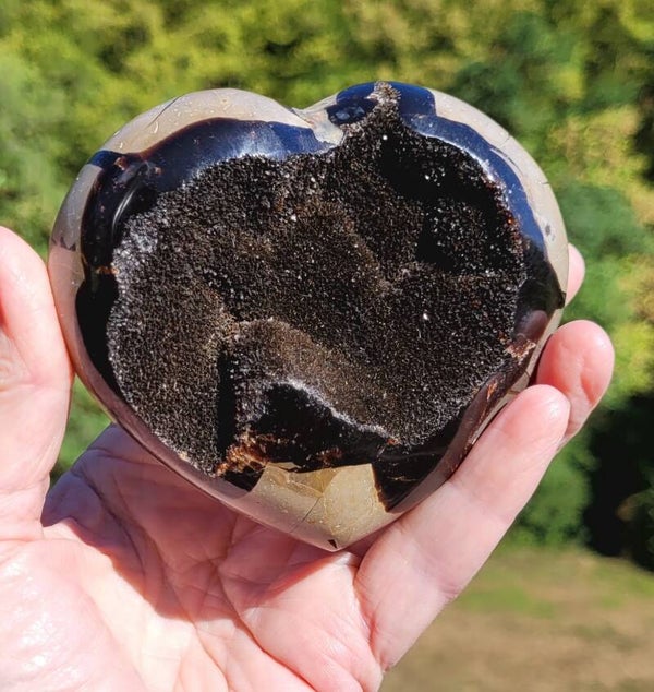 Hart Septarie 416 gr. 9,5 cm Herz Septarien, Heart Septarian