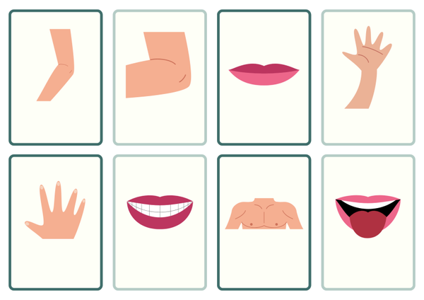 24 (NT2) flashcards lichaamsdelen